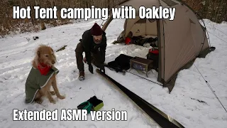 Solo hot tent camping with Oakley my dog. Relaxing sounds of camping - 4K AMSR - Extended edit