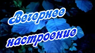 Этот вечер - он хороший!  Отличного вечернего настроения!