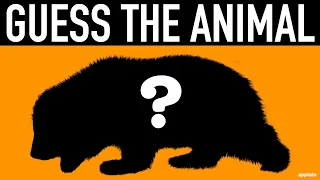 Guess the Animal Quiz #9 | Can You Guess the Animals Shadow | Animal Quiz Guessing Game