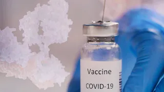 Understanding COVID-19: How Vaccines Work