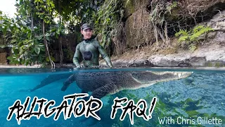 Answering Alligator FAQ WITH AN ALLIGATOR!!!