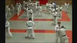 Putin shows off his judo skills