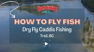 FLY FISHING: DRY FLY CADDIS FISHING