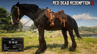 Do you have this Extremely Rare Horse? | Raven Black Shire | RDR2 | PS4 Slim