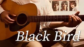 Black bird guitar cover