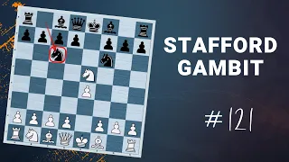Stafford Gambit | The Refutation - Daily Lesson with a Grandmaster 121