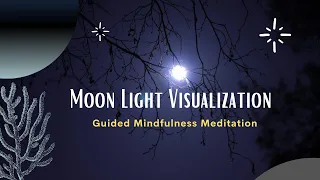 Moonlight Visualization Meditation || 10 Minutes Guided Meditation || Mindfulness Meditation