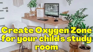 Create Oxygen Zone for your child's study room | Indoor Plants that produces huge oxygen