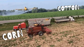 Corn Harvest and Spraying Cotton