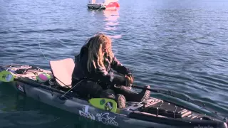 Feature Video - Andorja World Record - Greenland Shark by Kayak!