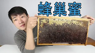 How much honey can be squeezed out by buying a large piece of honeycomb for 100 yuan?