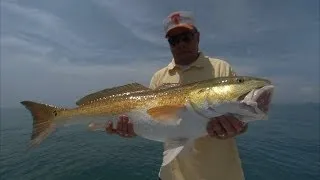 Bill Dance Fishing for Bull Reds and Jack Crevalle on the Space Coast