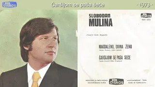 Slobodan Mulina - Carsijom se pasa sece - (Audio 1973)