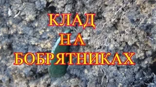 ПРОВЕРЯЛ БОБРЯТНИКИ И НАШЁЛ КЛАД.