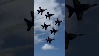 Blue Angels in Formation 🫡🇺🇸 #Shorts #USA #BlueAngels #Aviation