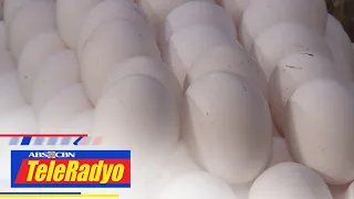 Egg Board Association: Presyo ng itlog nagmahal sa nakaraang 2 linggo | Headline Pilipinas