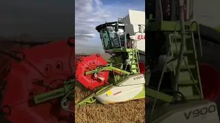 Claas Lexion 760. Żniwa 2022