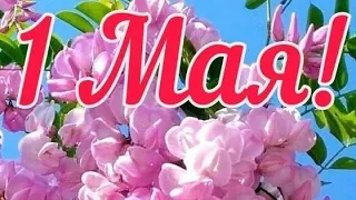 Светлого Мая привет😊💖 С Добрым майским утром💝🌸🌿