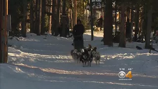 Lack Of Snow Threatens High Country Businesses