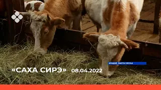 «Саха сирэ» информационнай биэрии. Муус устар 08 күнэ 13:30ч