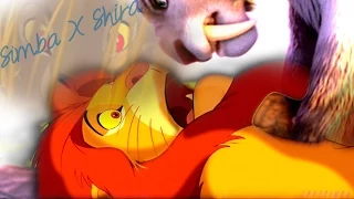 ♂ Simba x Shira ♀ ( + 550 subs )