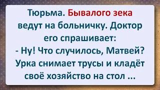 ⚜️ Бывалый Зек на Больничке Вывалил Хозяйсво Доктору на Стол! Сборник Самых Смешных Анекдотов!