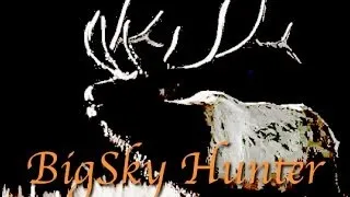 2013 Archery Bull Elk Kill - Montana