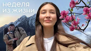 CALM VLOG: находки одежды, Румтур Двухэтажной Квартиры, Моя Косметичка. День рождения в Сочи