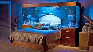 Aquarium Bed! Top 10 Unbelievably Cool Aquariums