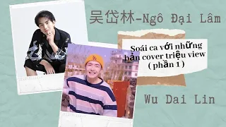 [Tik Tok TQ-DOUYIN] 吴岱林-Ngô Đại Lâm-Soái ca với những bản cover triệu view (phần 1) | Linzy Jocasta