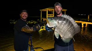 Bowfishing for Tilapia | The Biggest we’ve seen!