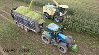 Krone BIG X 780 maize harvesting in west wales