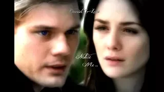 Fallen ~ Daniel & Luce ~ Notice Me