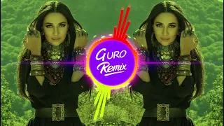 Zara ft. Sivan Perwer - Welatê min (Guro Remix)