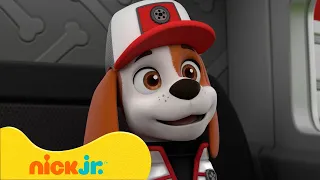 PAW Patrol | ¡Los mejores momentos de Big Truck Pups! 🚒🐶 | Nick Jr. en Español