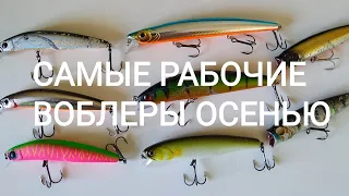 Самые рабочие воблеры осенью!Kosadaka Intra XS 95F Itumo Clipper 120F Strike Pro Wiggle Stick 140 др