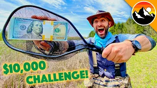 $10,000 Animal Challenge - WHO WILL WIN?!