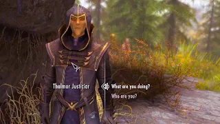 Unfortunate meeting for Thalmor Justiciars