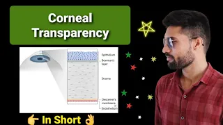 Corneal Transparency lecture opthalmology