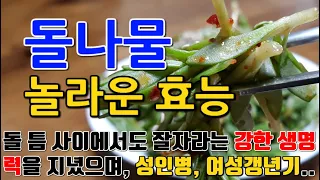 돌나물의 놀라운 효능 8가지 & 부작용 / "돌나물로 더 건강한 삶을 위해, 비타민과 미네랄의 자연 요법"