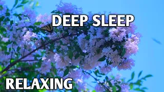 Largest FLOWERS Collection in the World 4K ULTRA HD - with Calming Music