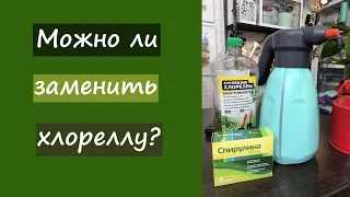 Можно ли заменить хлореллу? водоросли для растений