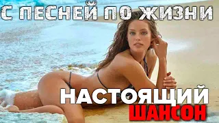 Шикарные песни   красивые хиты! Огромное спасибо за то что вы с нами! 2019 1