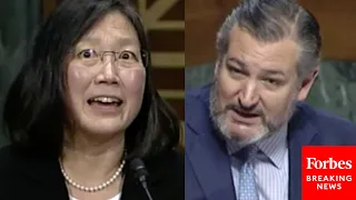 'What Did You Mean When You Said That?': Ted Cruz Grills Judicial Nominee Over Past Statements