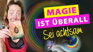 So spricht deine Seele mit dir 🥳👉 Magische Momente 🌈🪲 Regenbögen & Käfer