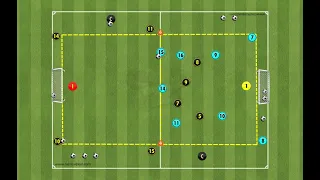 Movimentos de organização e transição defensiva e ofensiva - contra ataque