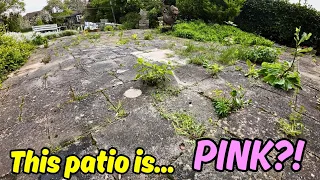 She Doesn't Know I'm Here?! 92 Years Young SURPRISED By Pressure Washing Transformation