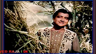 ASHA JI~Film~PHAGUN (1958)~Teer Ye Chhupke Chalaya Kis Ne~[* TRIBUTE TO ASHA JI In COLOR *]