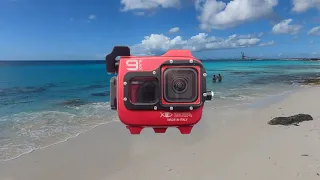 #38 - Isotta GoPro 9 / 10 Underwater Housing Gear Review For Scuba Diving