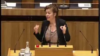 Budget-Debatte 2012 Nationalrat 2012-11-15-1